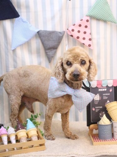 20250515ノンくん